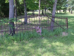 IMG_1898 (5)